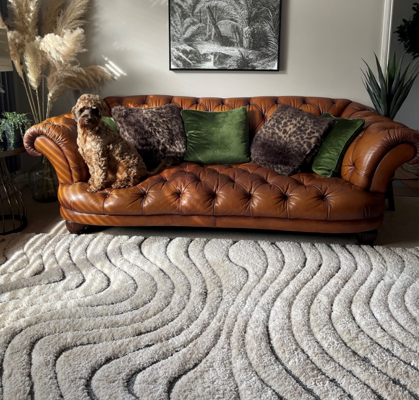 Ariana Shaggy Moroccan Rug Collection